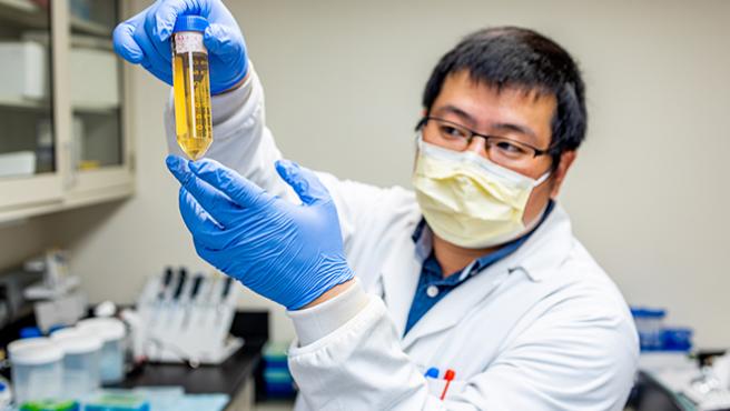 Covid19: La ciencia halla un anticuerpo minúsculo que neutraliza y previene el virus