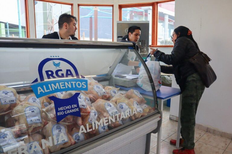 VUELVEN LOS POLLOS DE PRODUCCIÓN LOCAL AL PASEO «CANTO DEL VIENTO”