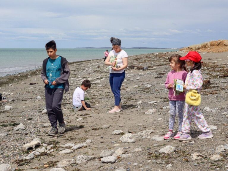 CONTINÚAN LAS ACTIVIDADES DE VERANO EN EL CENTRO DE INTERPRETACIÓN AMBIENTAL